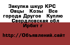 Закупка шкур КРС , Овцы , Козы - Все города Другое » Куплю   . Свердловская обл.,Ирбит г.
